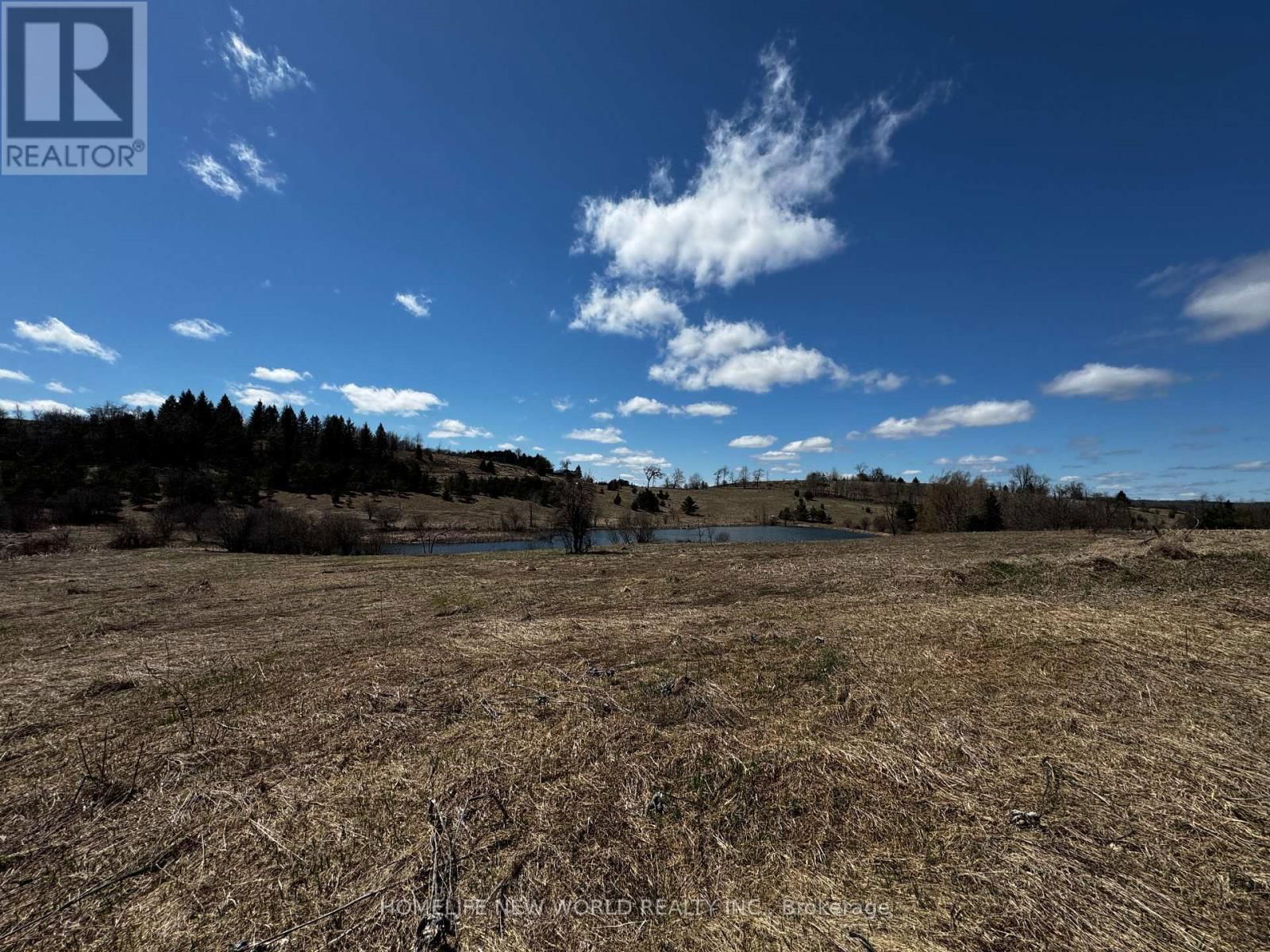 5285 TRAFALGAR ROAD Image 6