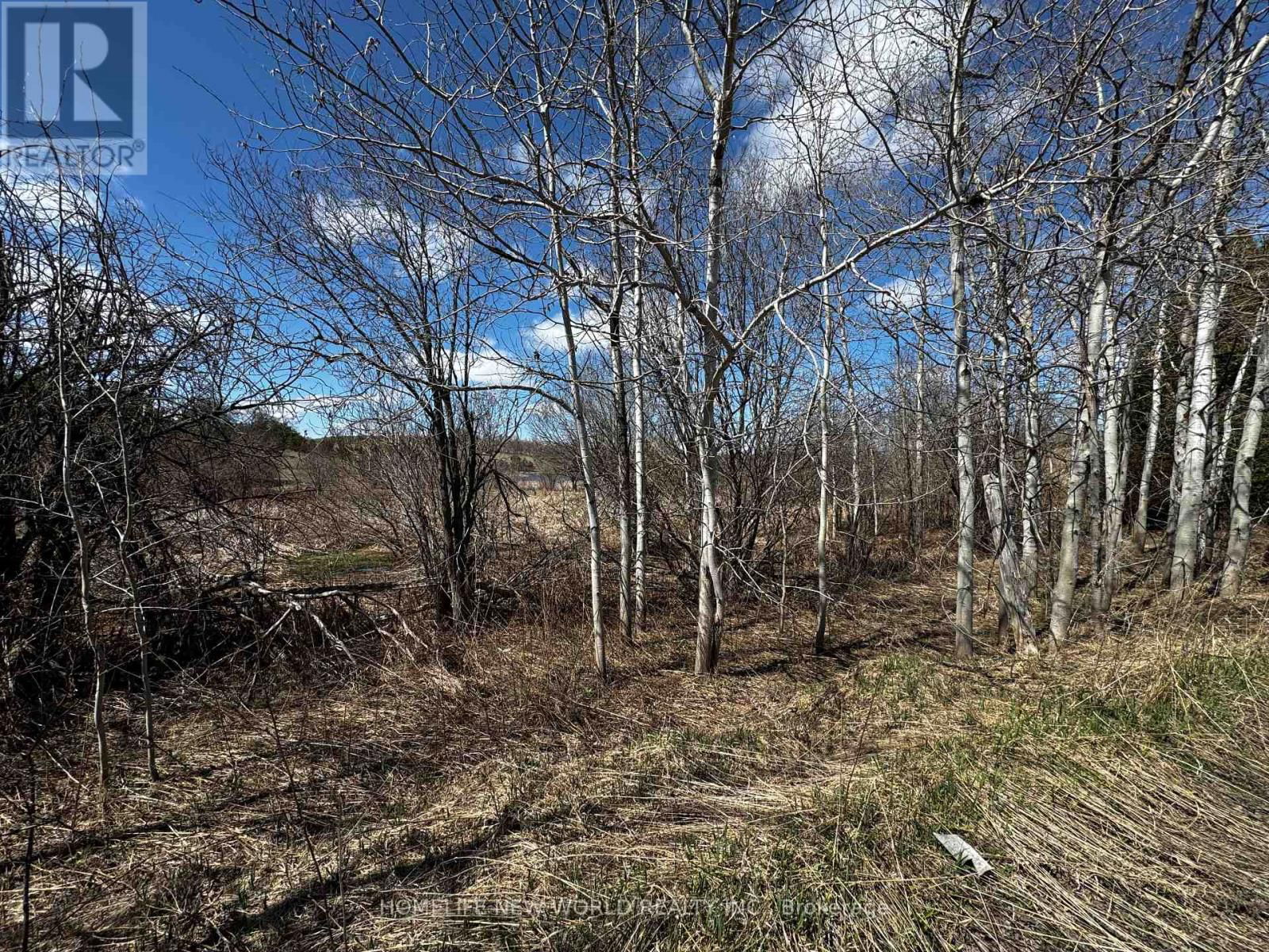 5285 TRAFALGAR ROAD Image 7