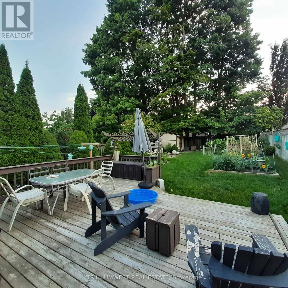 339 MISTY CRESCENT Image 43