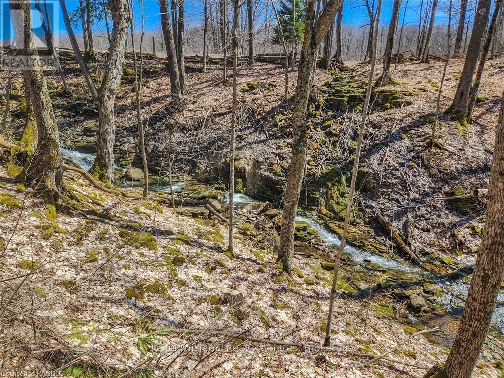 LT 34 CONCESSION 24 Image 25