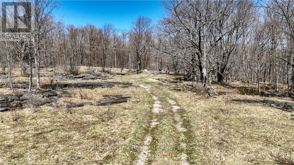 LT 34 CONCESSION 24 Image 7