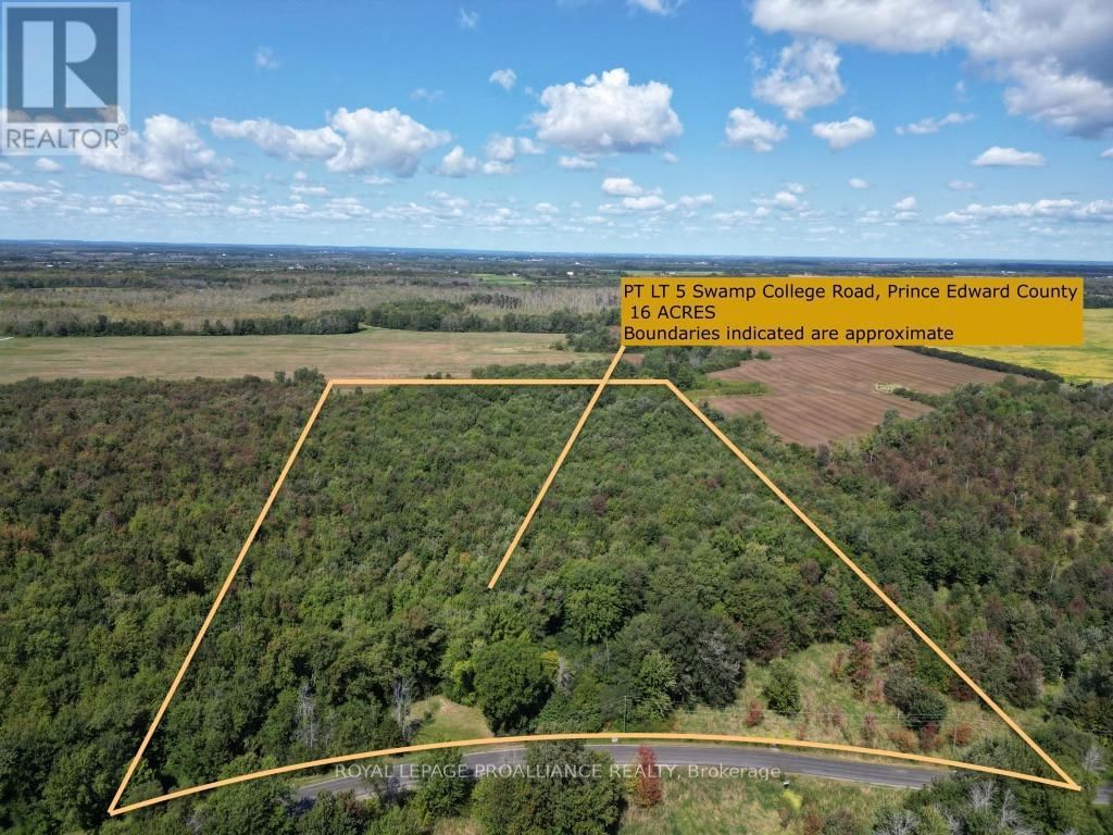Primary Property View