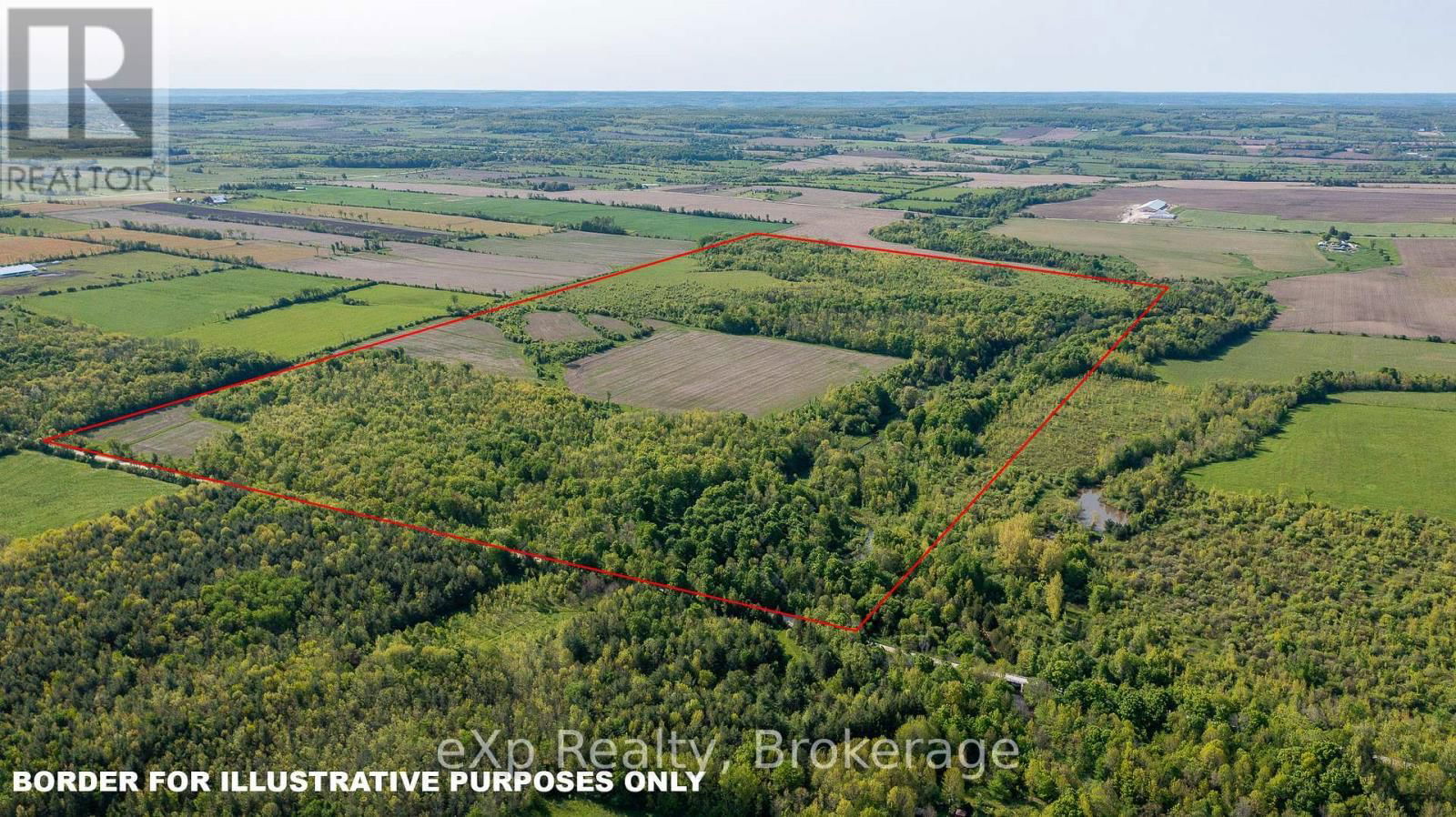 Primary Property View