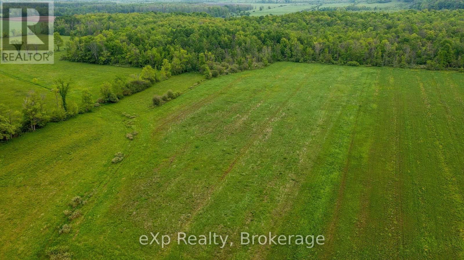 PTLT 29 CONCESSION RD 2 N Image 14