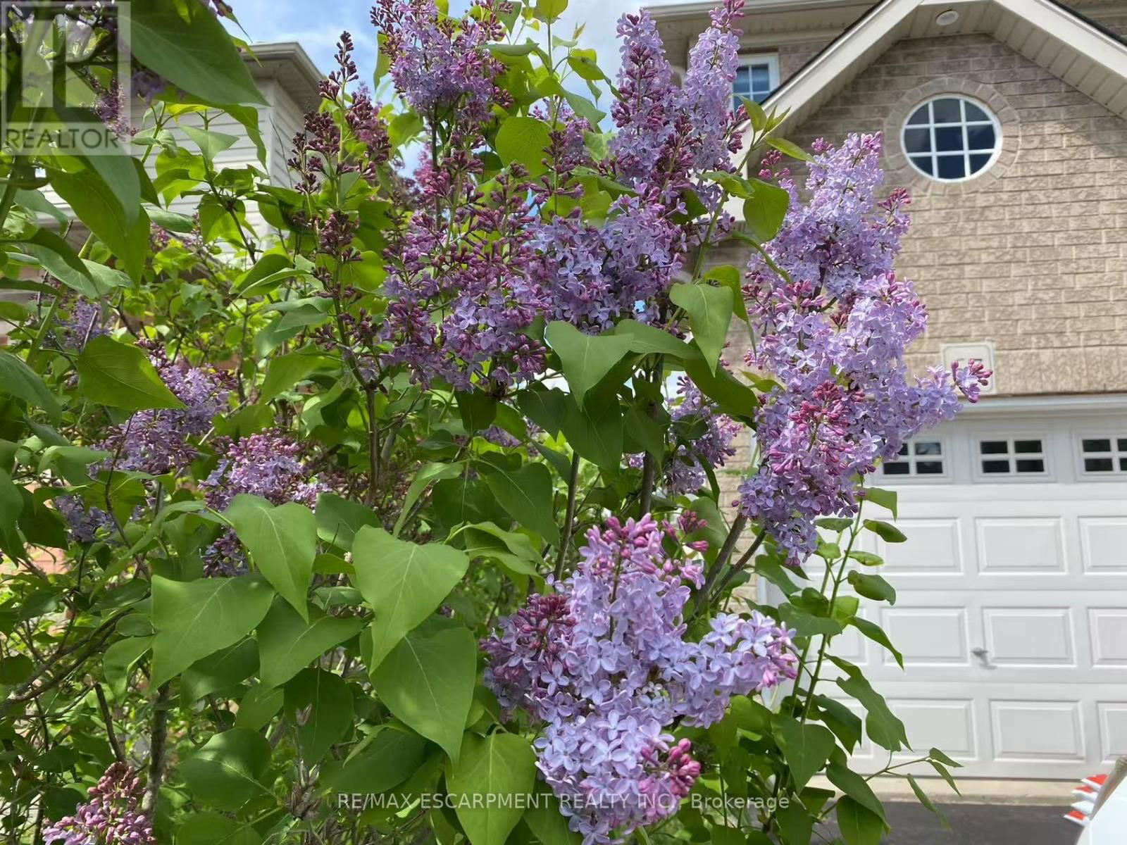 67 FERRIS DRIVE Image 38