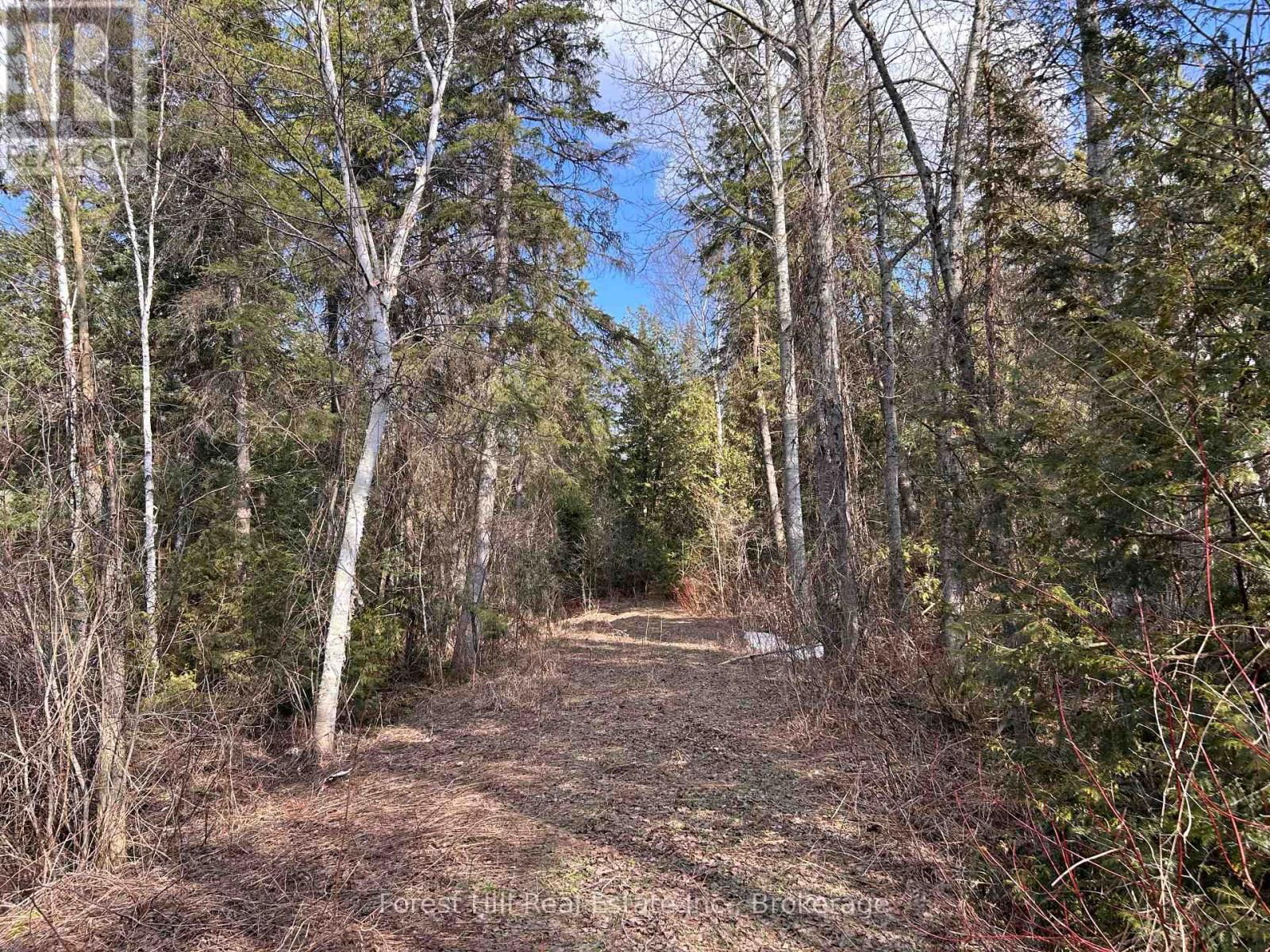 Primary Property View