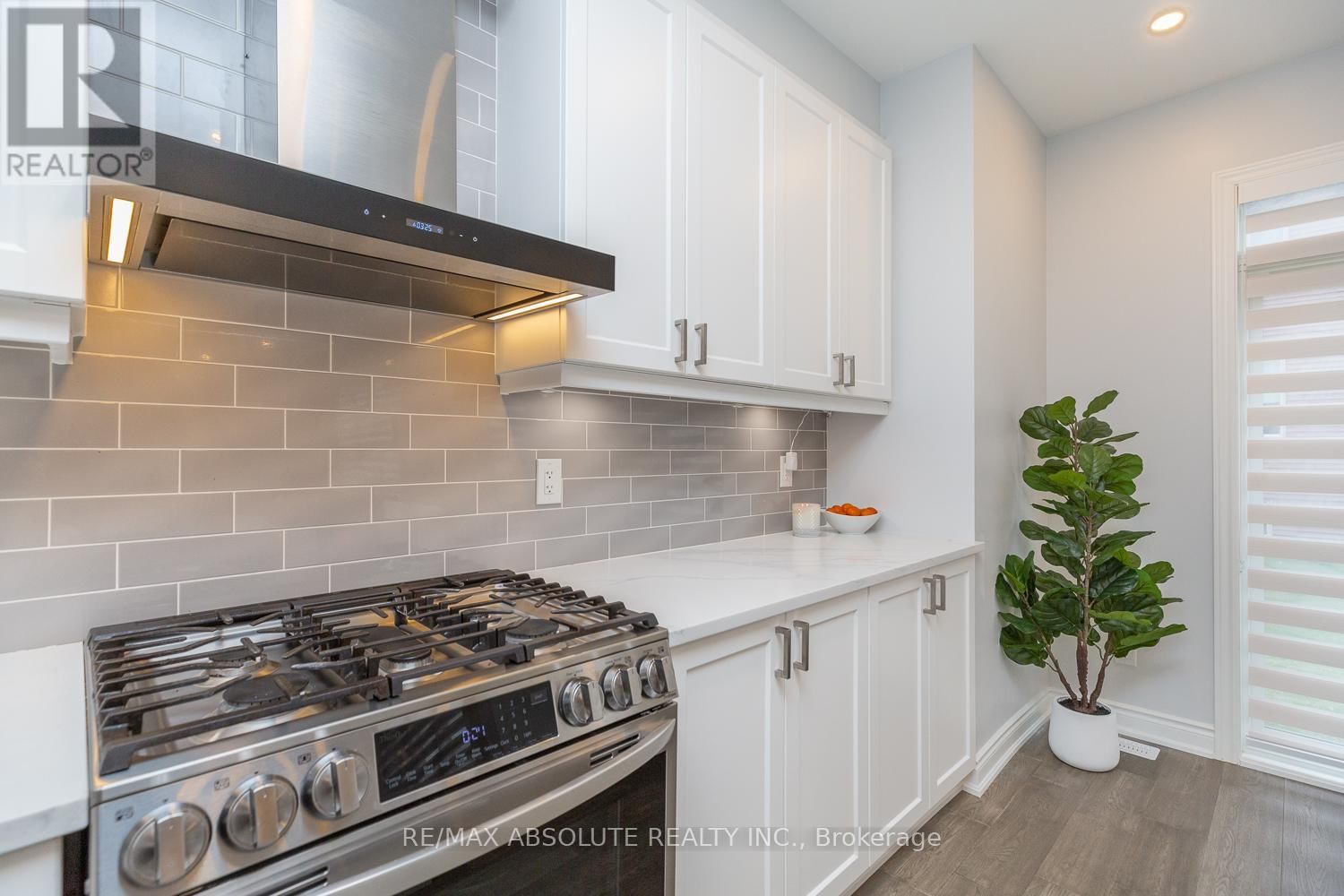 1019 APOLUNE STREET Image 25