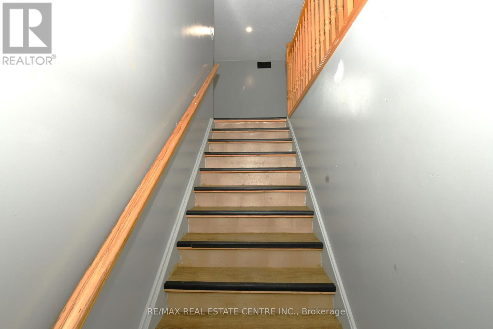 65 MAITLAND TERRACE Image 20