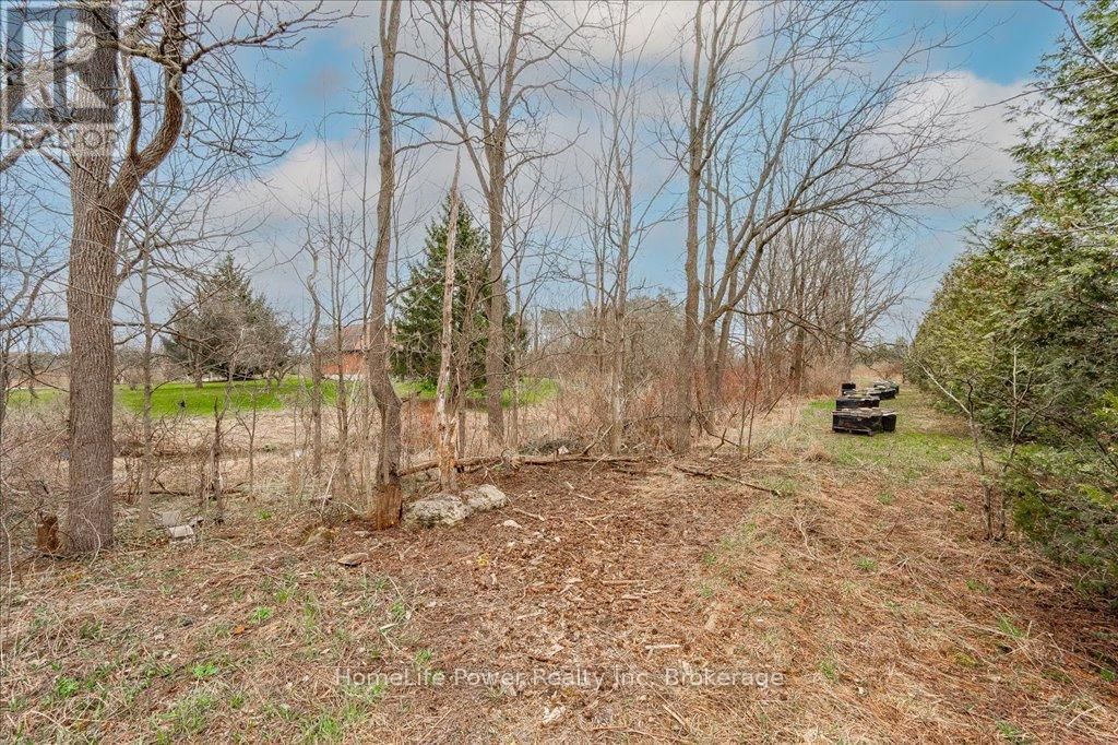4080 VICTORIA ROAD SOUTH Image 40