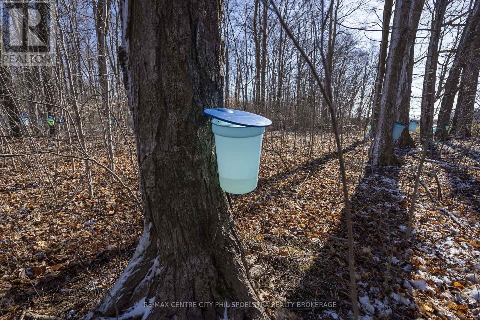 1355 AUSABLE ROAD Image 46