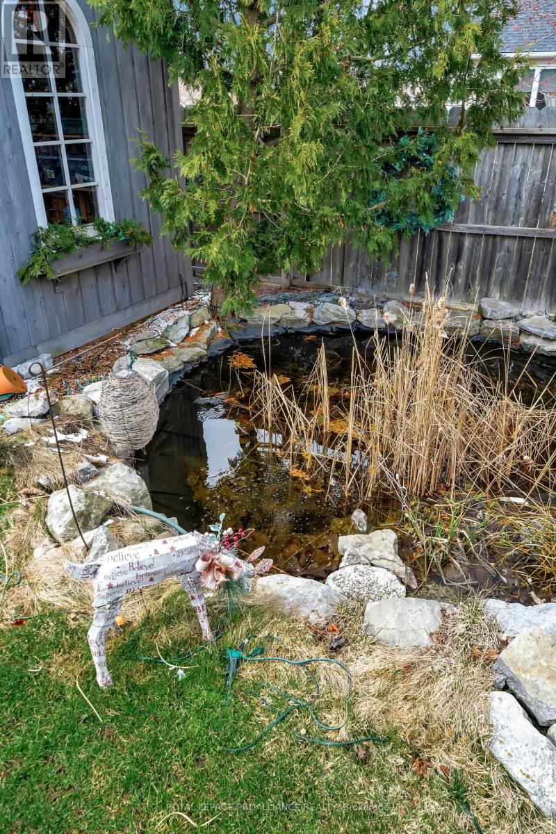 39 OWEN STREET Image 29