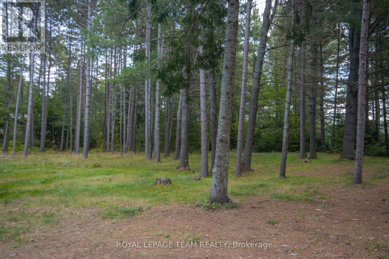 443 WEGLARZ ROAD Image 25