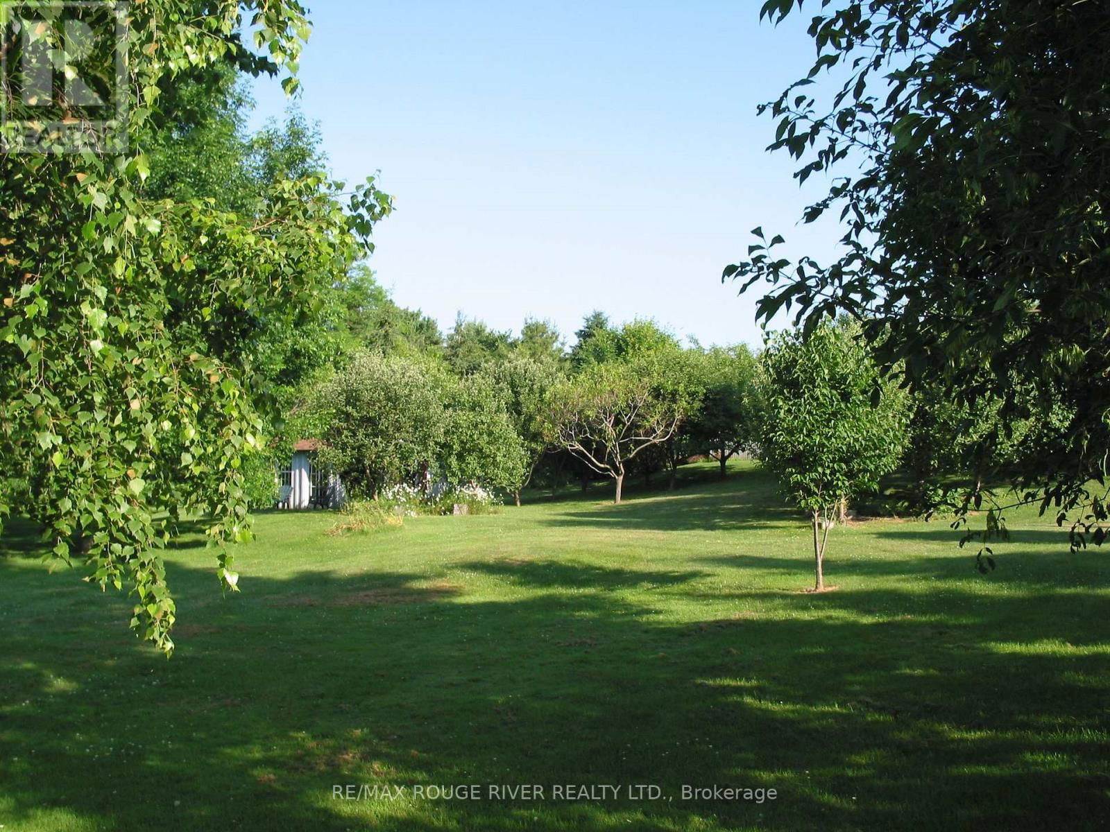 412 BARNUM HOUSE ROAD Image 39