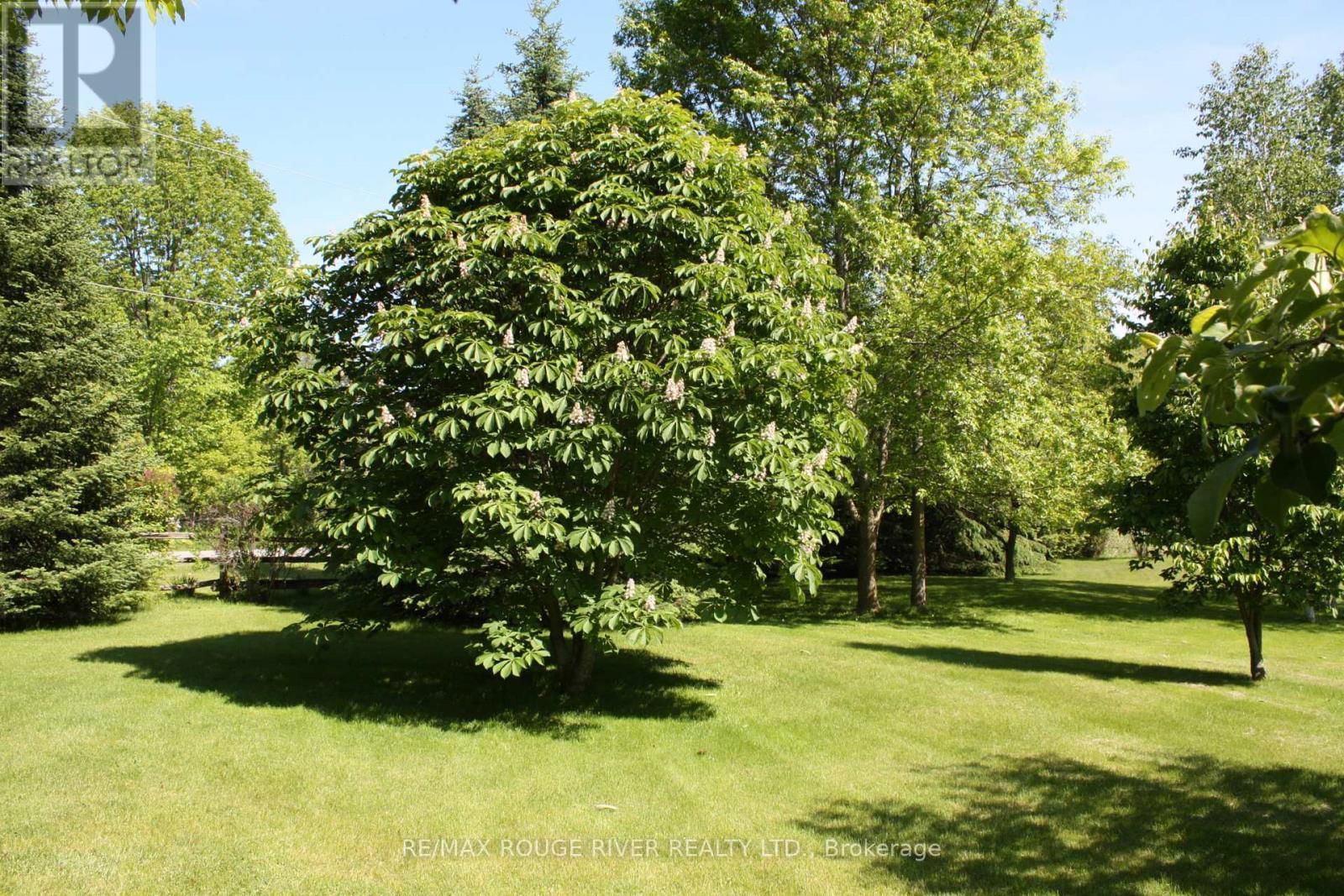412 BARNUM HOUSE ROAD Image 40