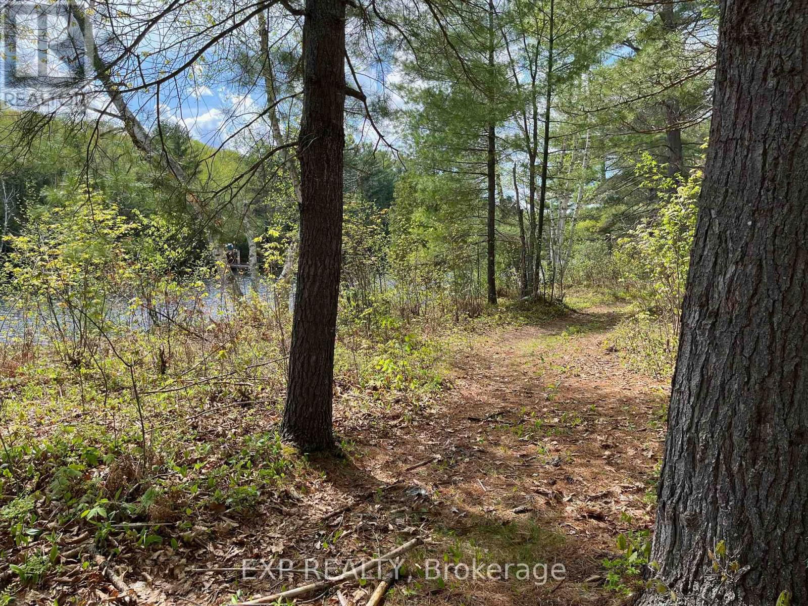 Lot 40 SANDY SHORES TRAIL Image 4