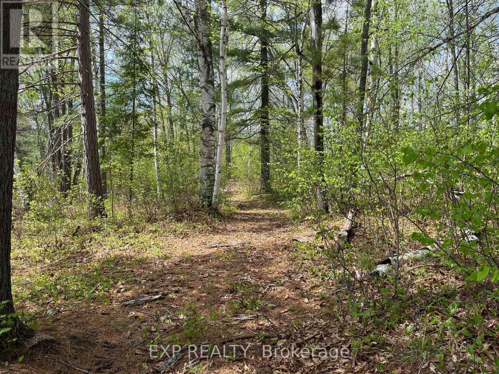 Lot 40 SANDY SHORES TRAIL Image 5