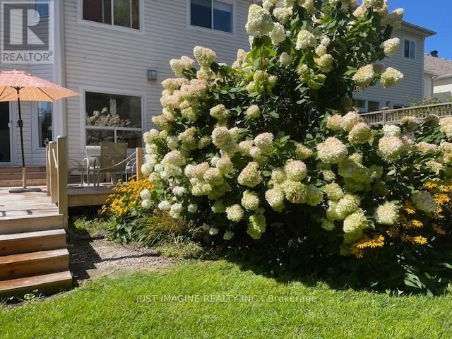 57 HEMLO CRESCENT Image 49