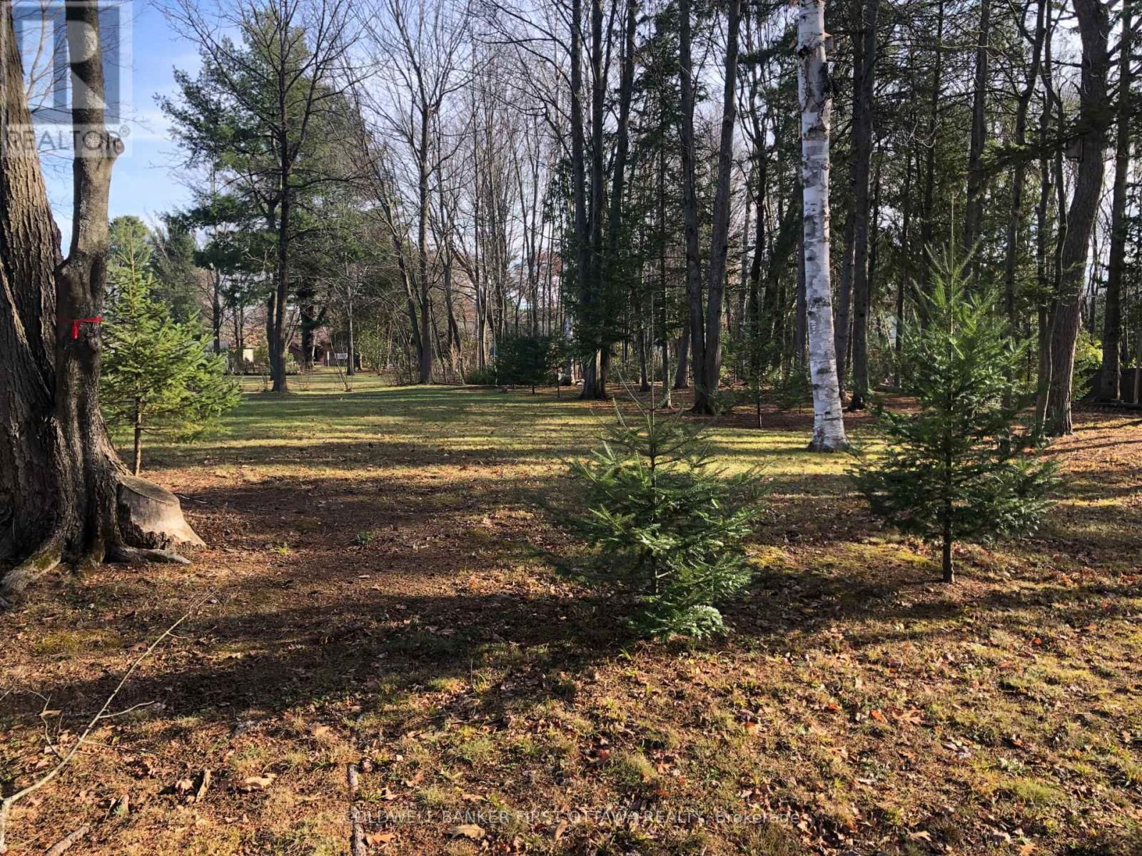 65 VAAN DRIVE Image 4