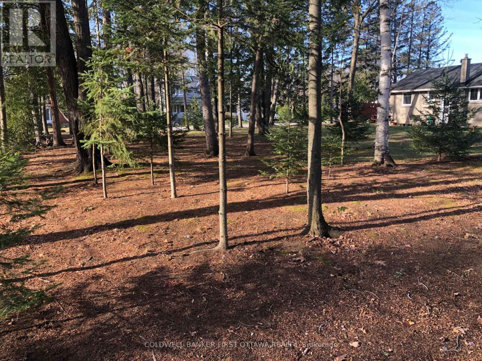 65 VAAN DRIVE Image 5