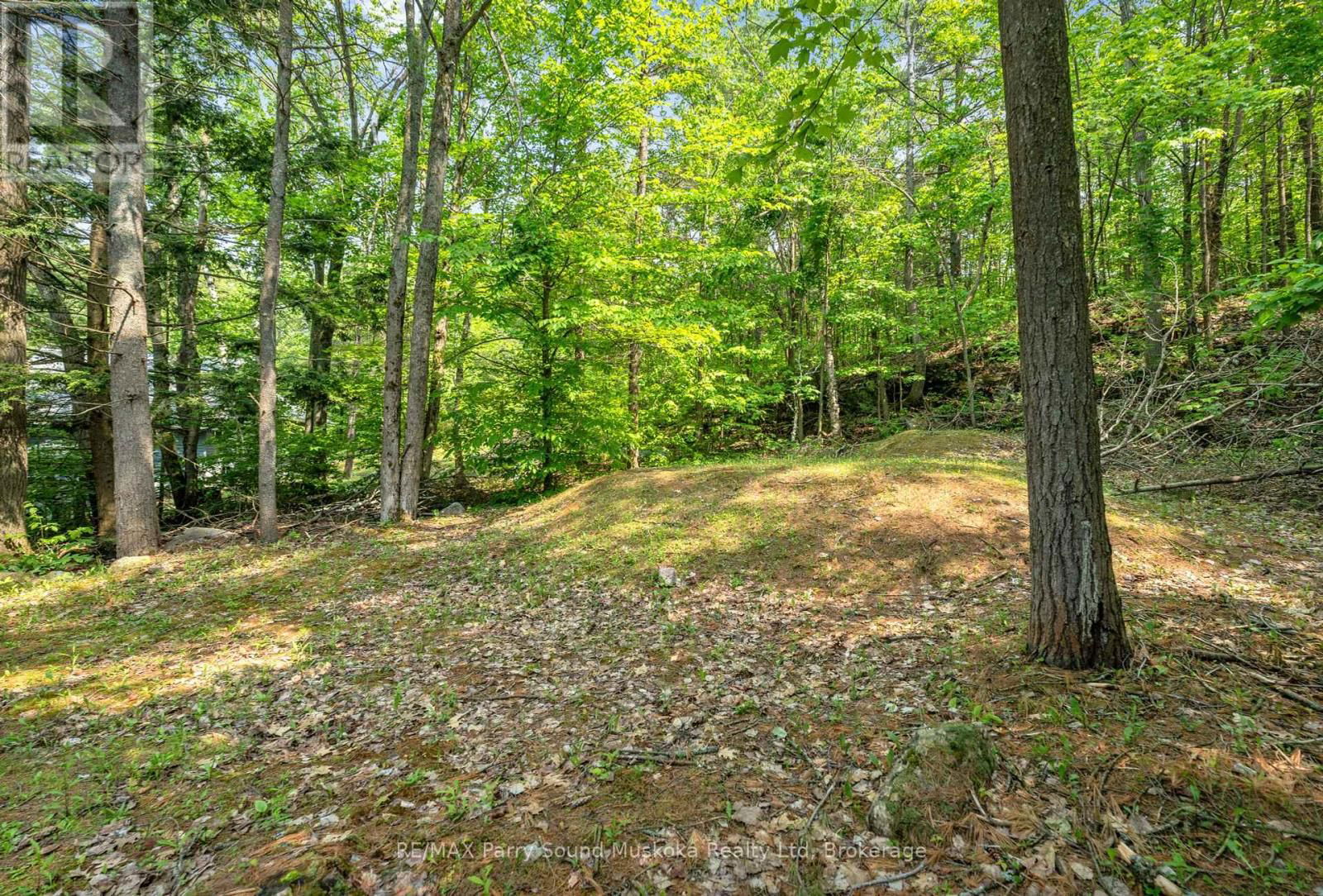 124 HEALEY LAKE WATER Image 31