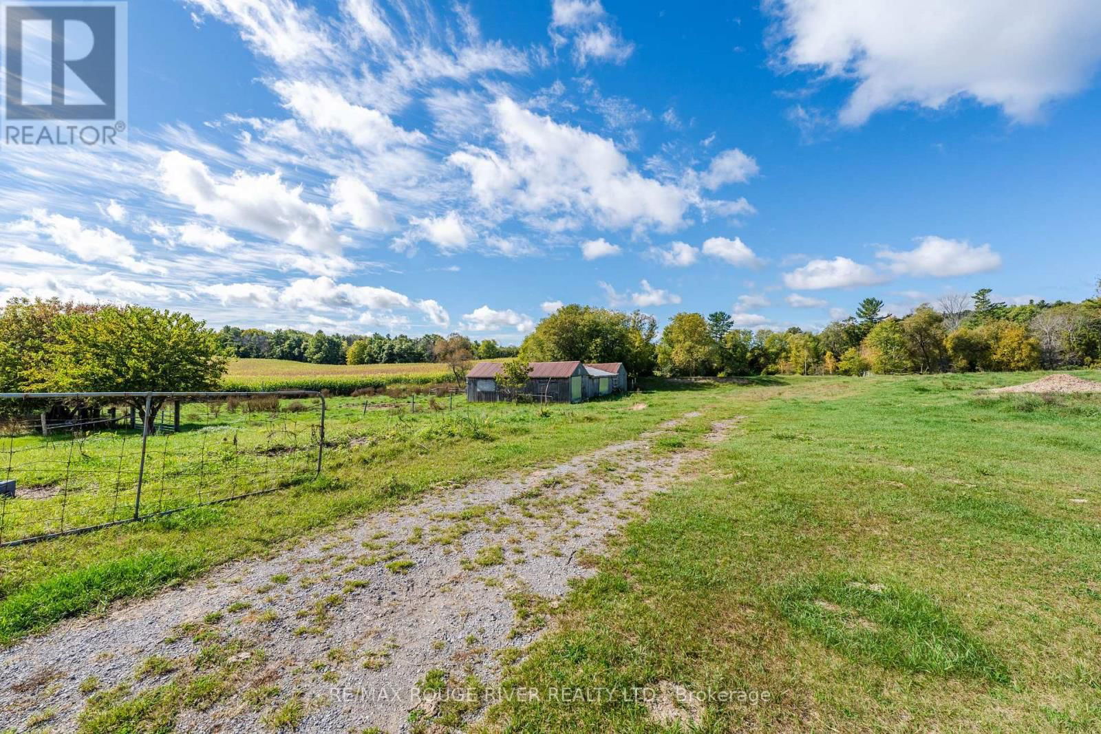 390 JAKOBI ROAD Image 18