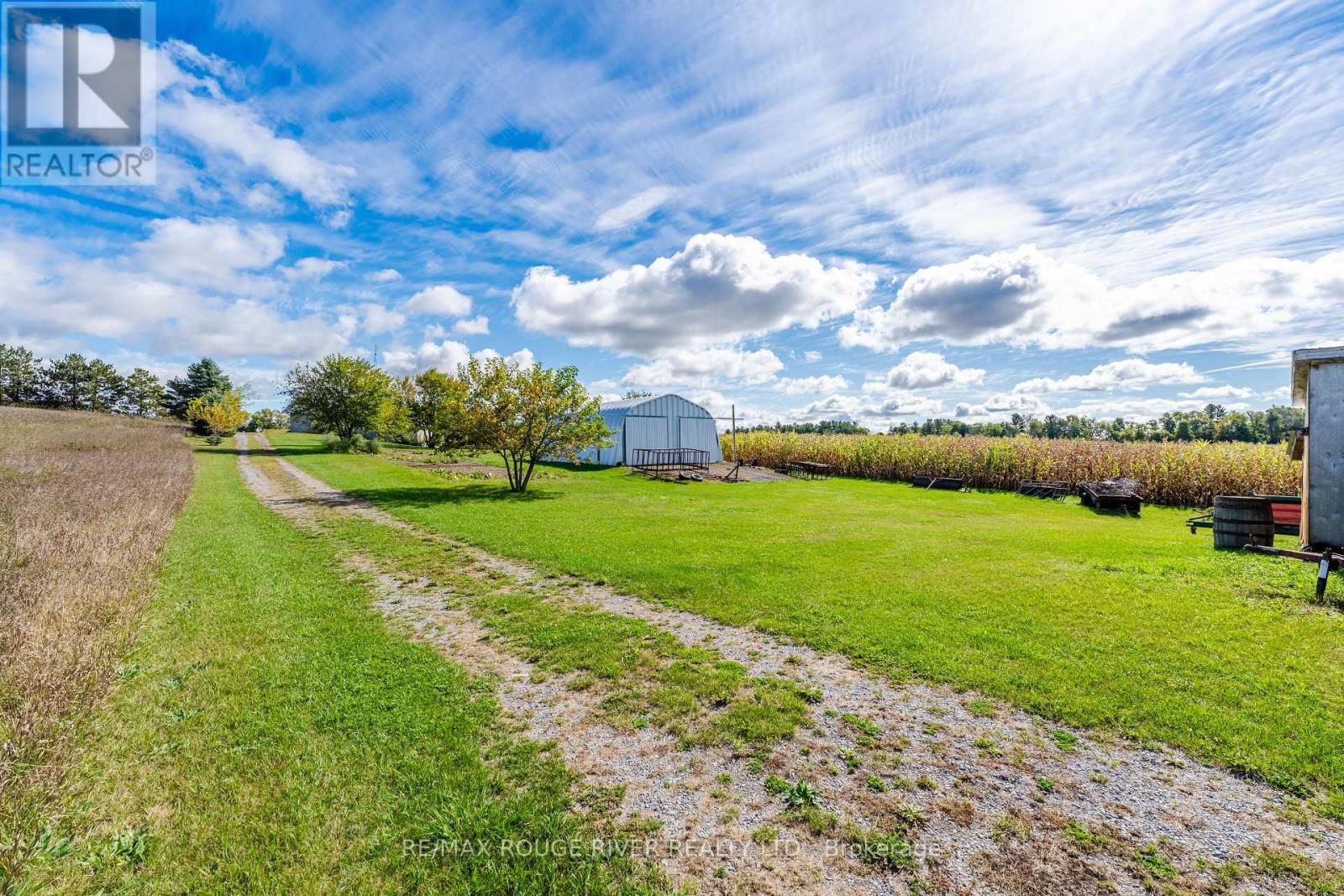 390 JAKOBI ROAD Image 21