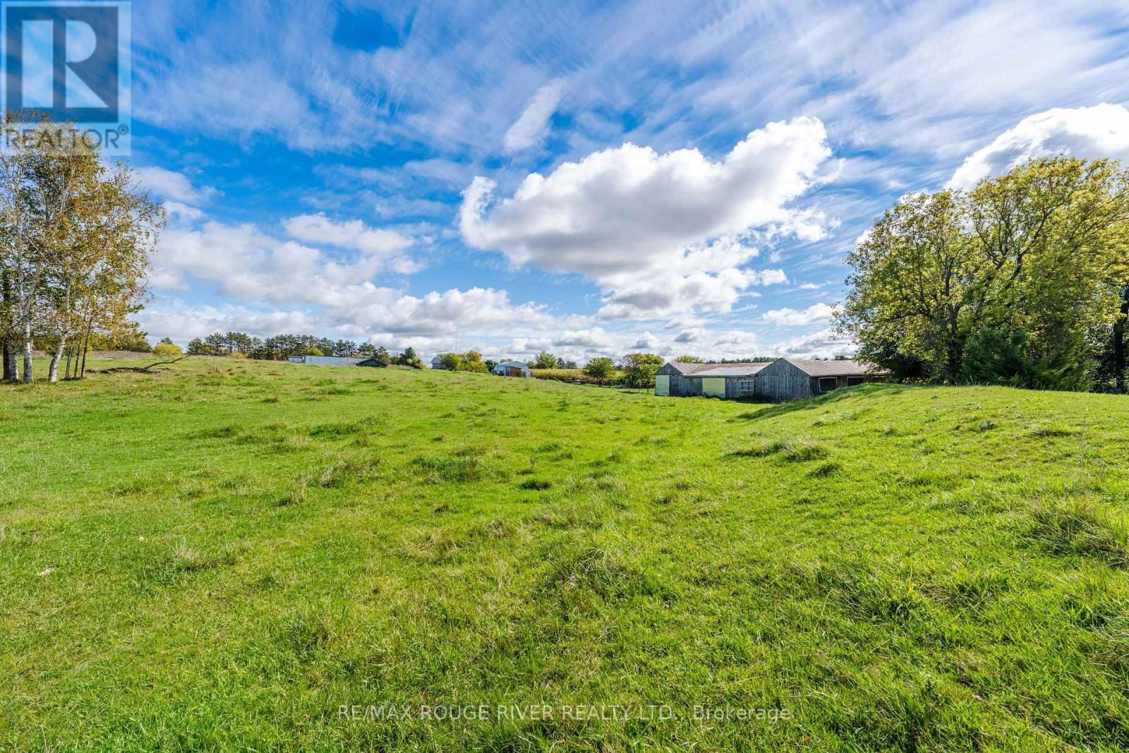 390 JAKOBI ROAD Image 22