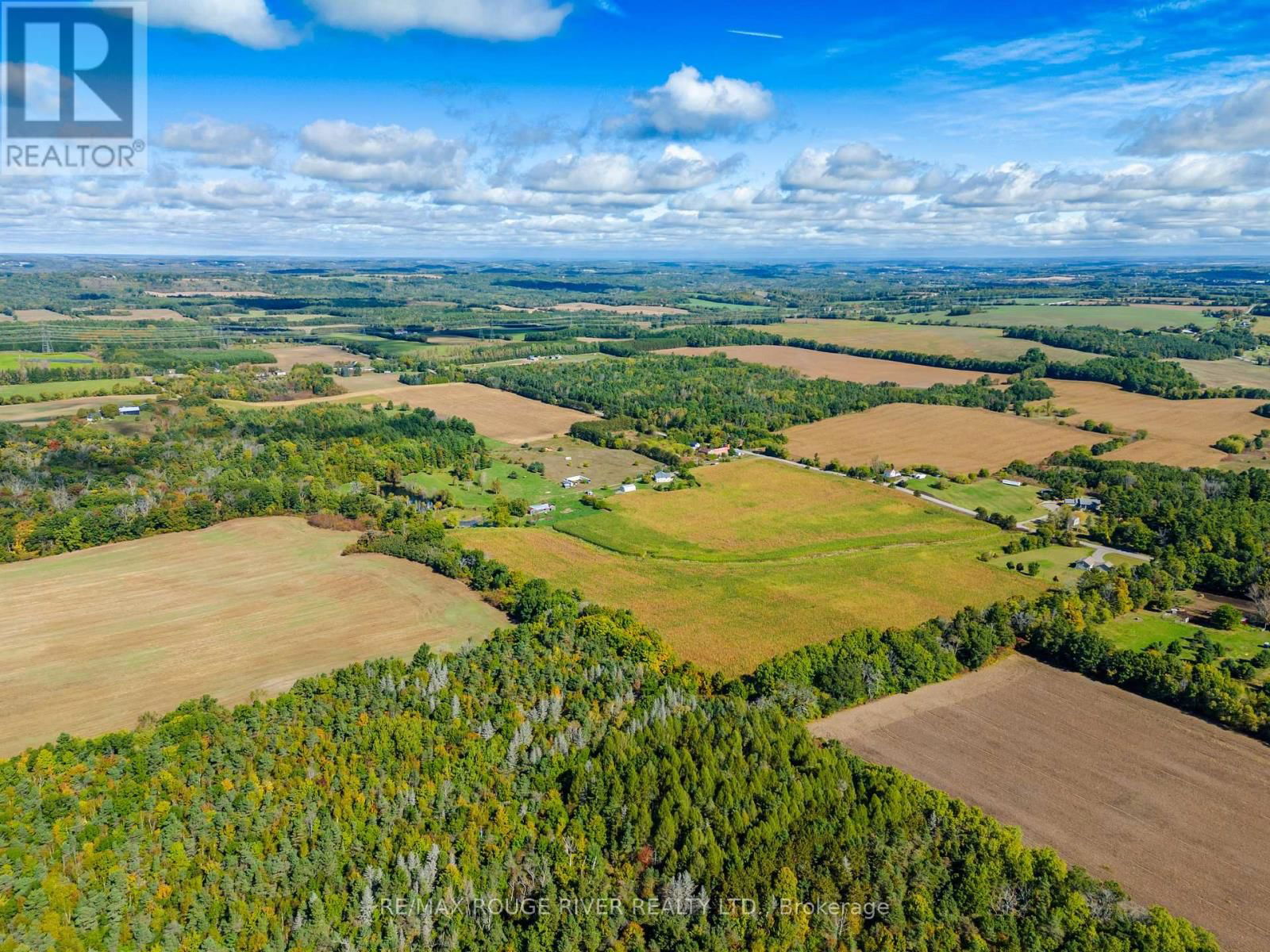 390 JAKOBI ROAD Image 28