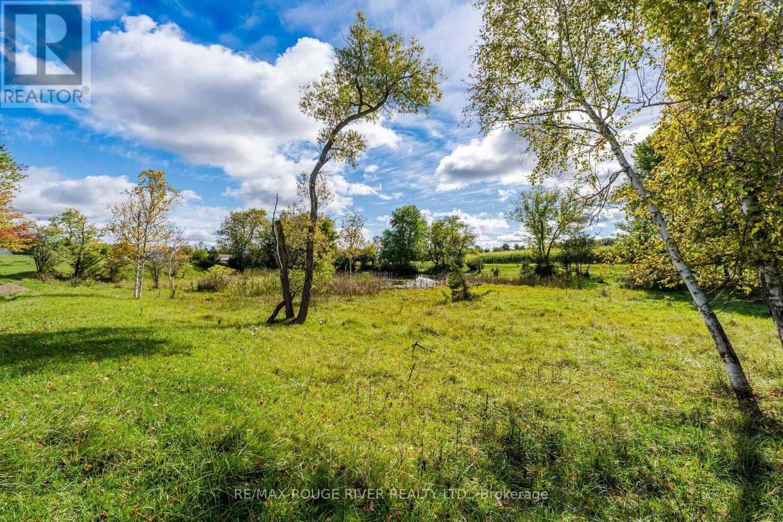 390 JAKOBI ROAD Image 33