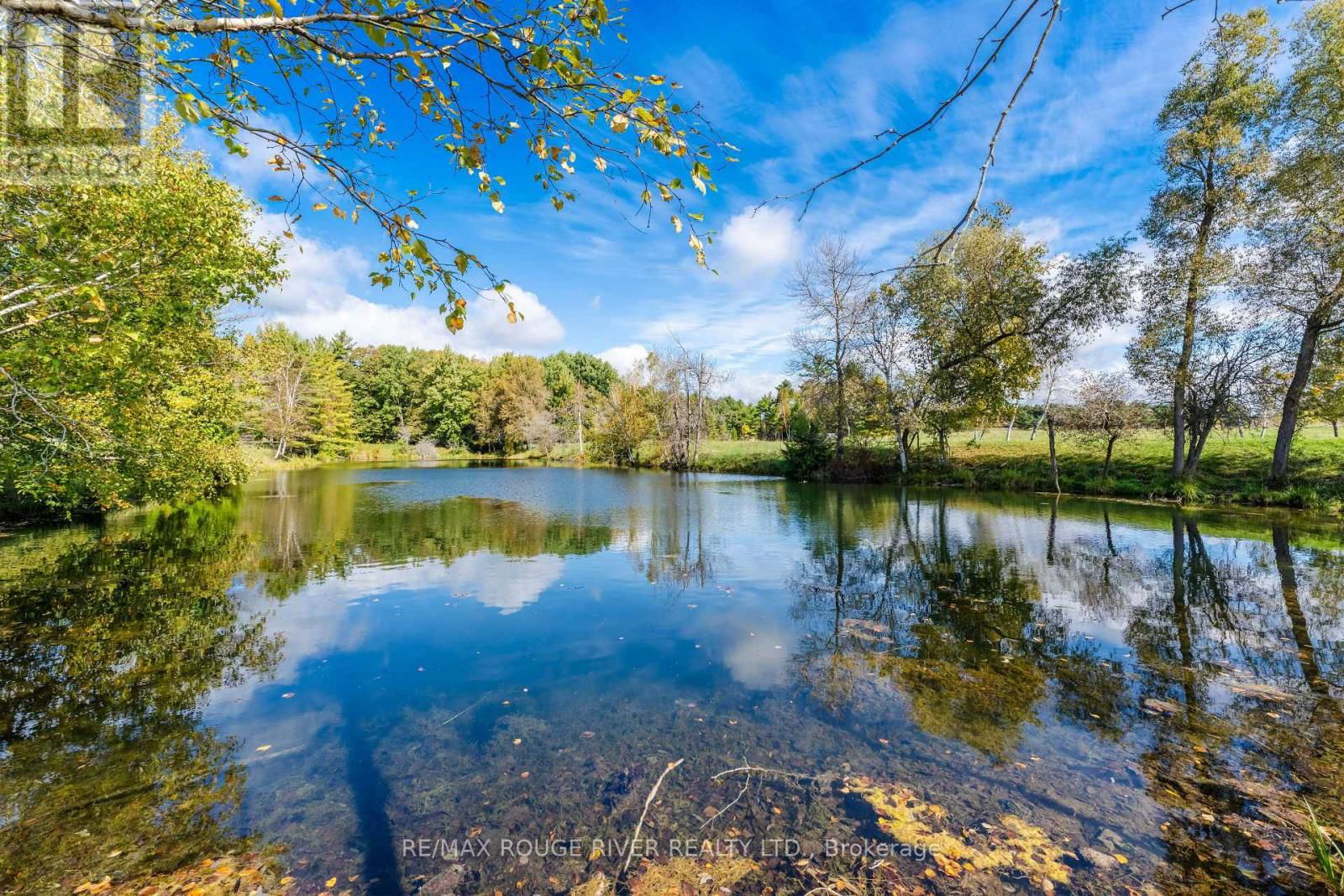 390 JAKOBI ROAD Image 36