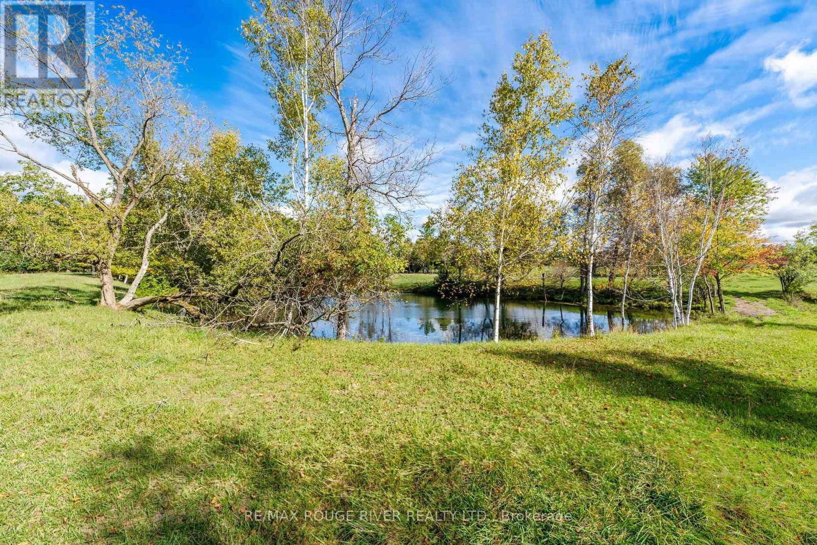 390 JAKOBI ROAD Image 37