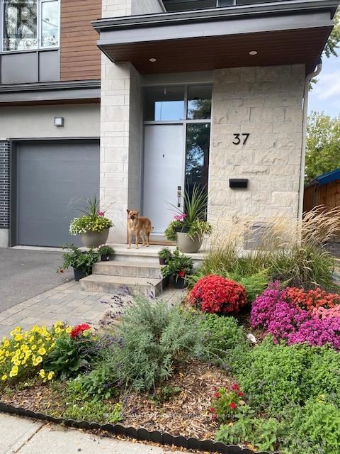 37 IVY CRESCENT Image 2