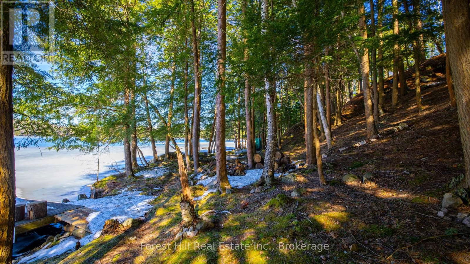 3164 #9 MUSKOKA ROAD 118 ROAD Image 45