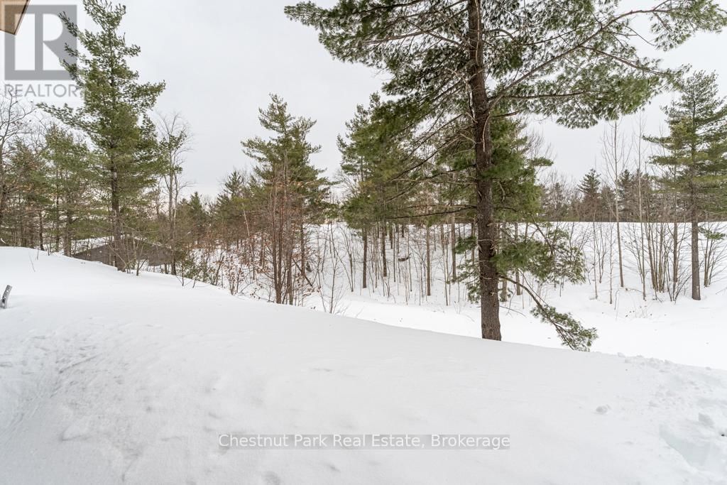 113 - 120 CARRICK TRAIL Image 19