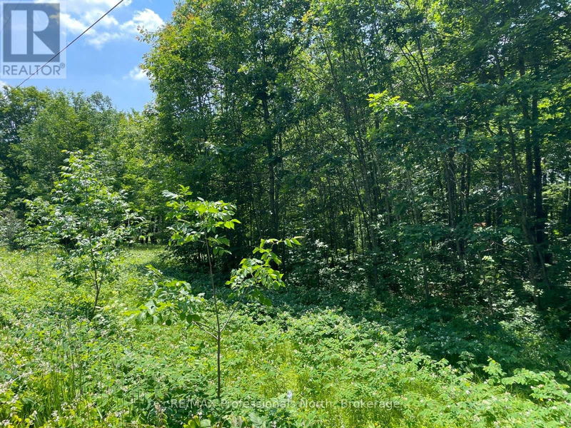 Tertiary Property View
