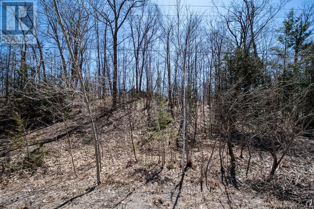 4018 COUNTY ROAD 36 Image 31