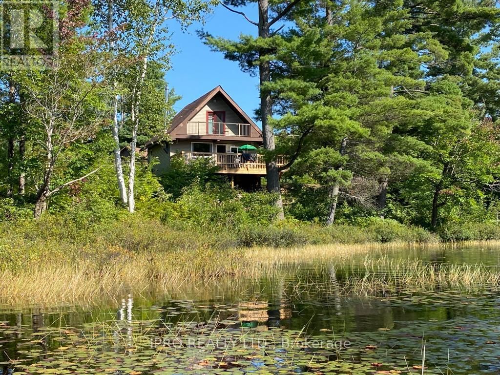 Primary Property View