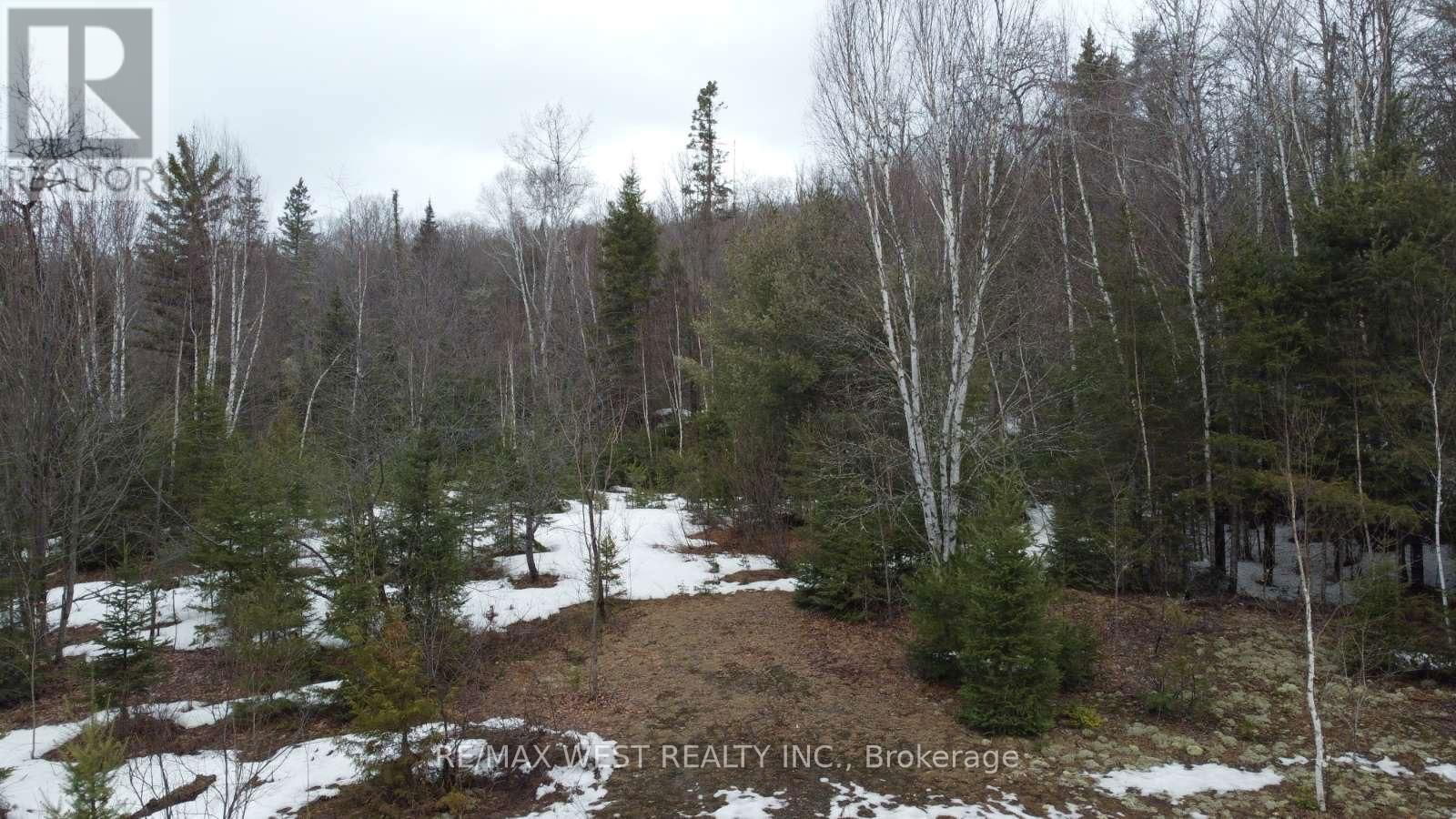 1140 WIDDIFIELD STATION ROAD Image 4