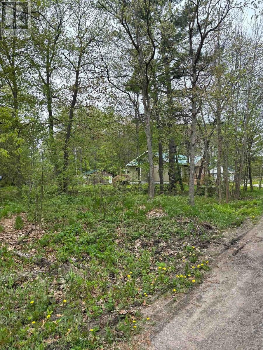 25 REDWING LANE EAST Image 9