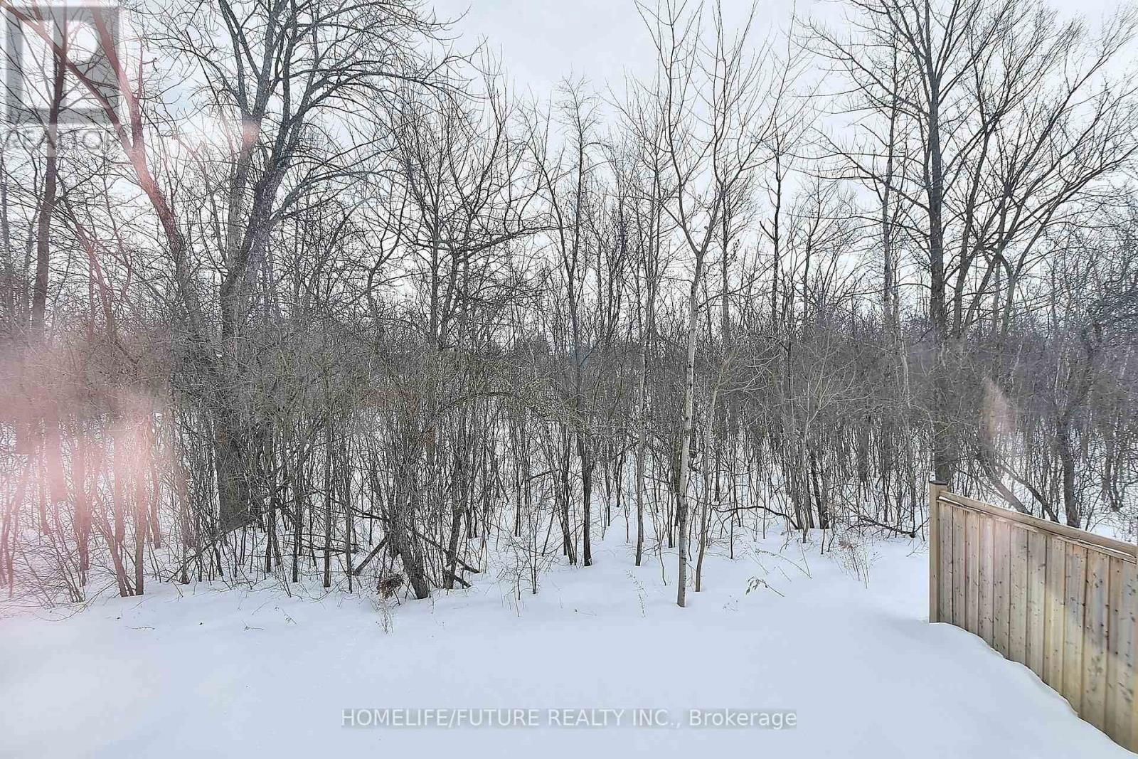 39 SUMMER LANE Image 40