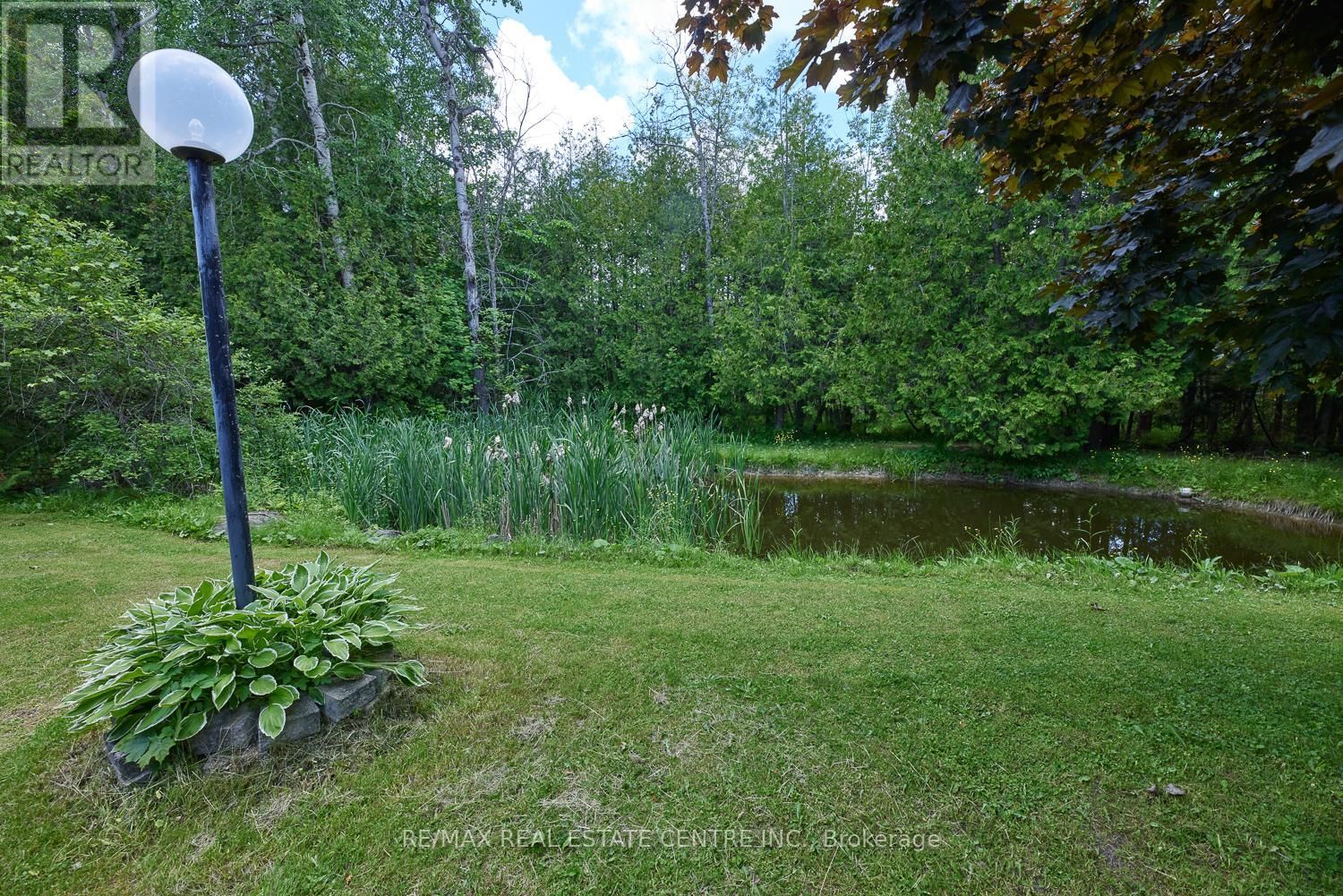 7 MCCUTCHEON ROAD Image 11