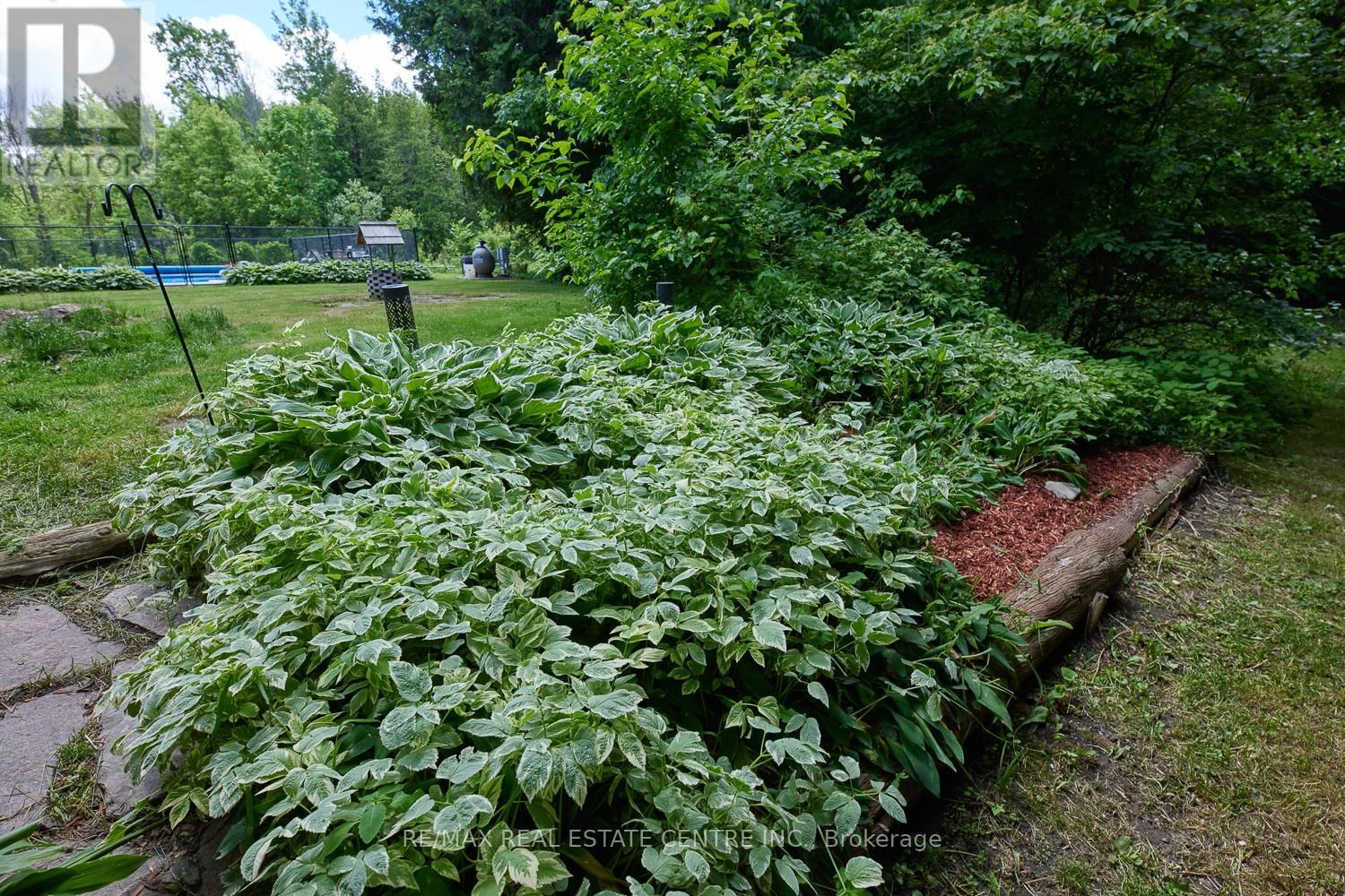 7 MCCUTCHEON ROAD Image 37