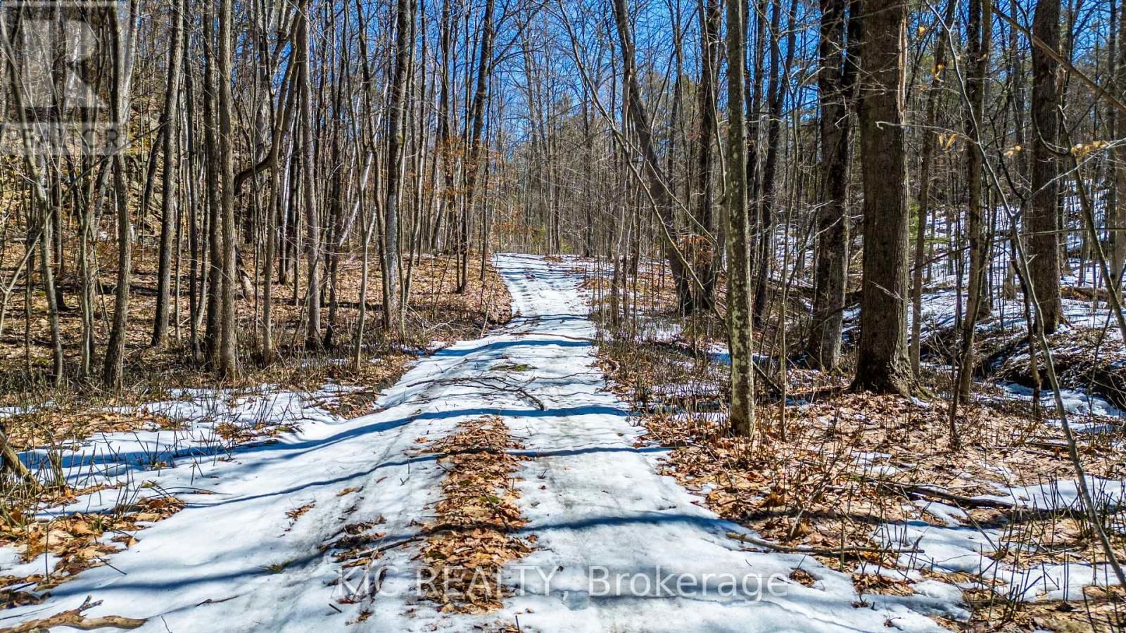 0 HINCHINBROOKE RD N ROAD Image 11