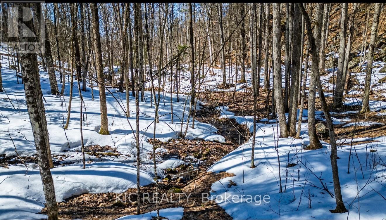 0 HINCHINBROOKE RD N ROAD Image 16