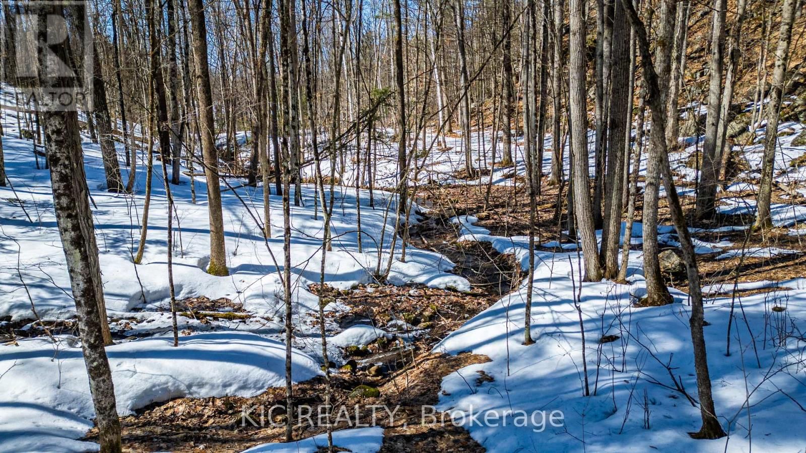 0 HINCHINBROOKE RD N ROAD Image 9