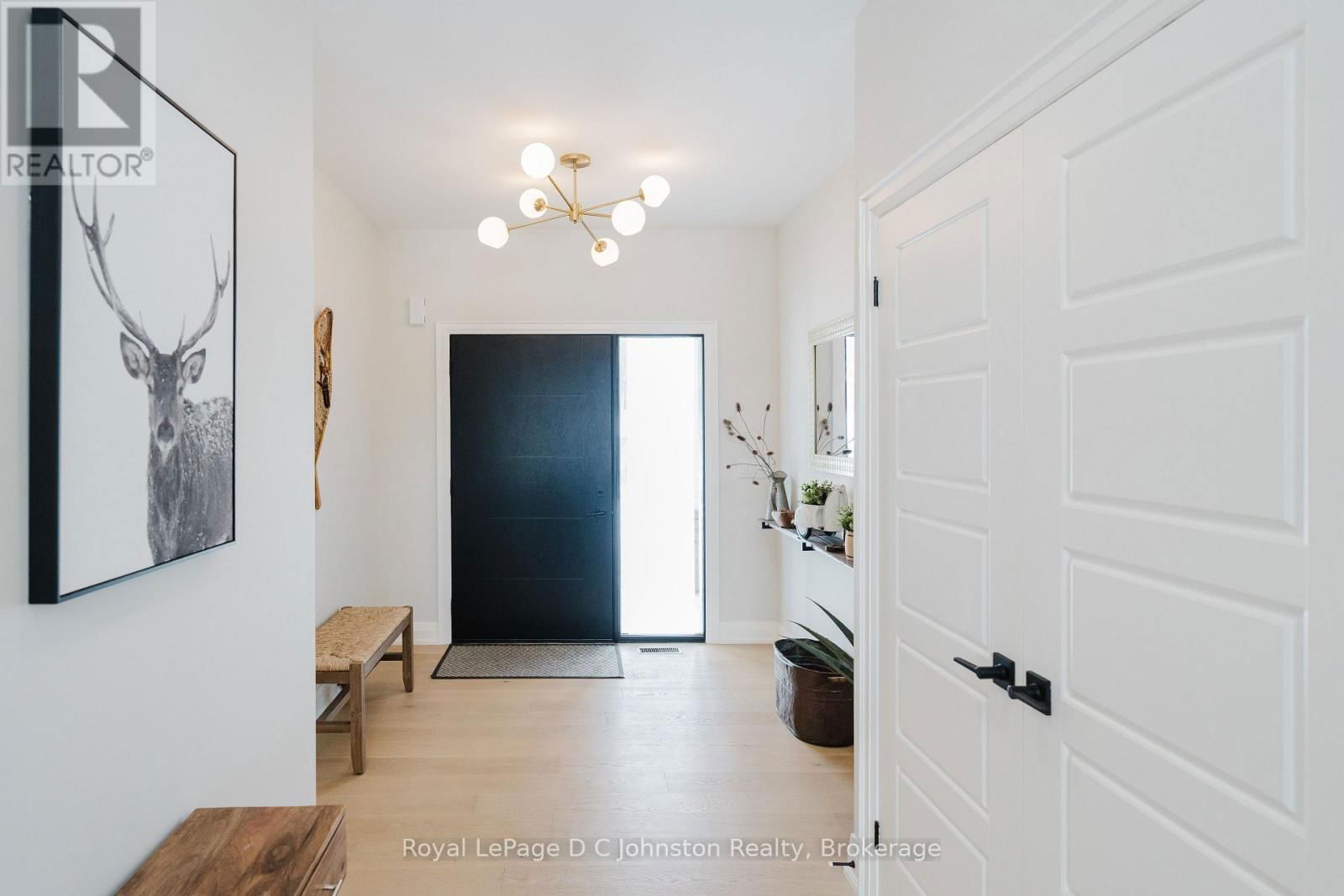 167 ALEXANDRIA STREET Image 5