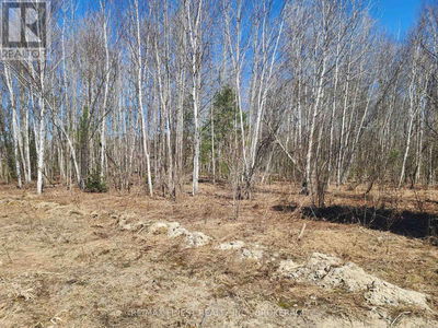 Commercial for Sale in Ontario