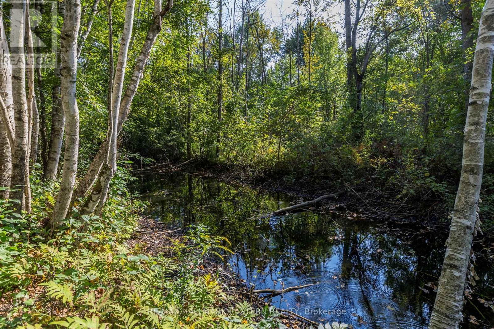 Lot 13 TRENT RIVER ROAD Image 10
