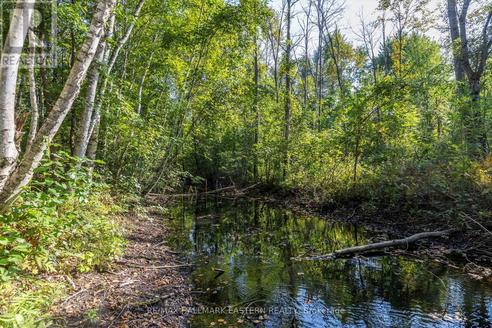 Lot 13 TRENT RIVER ROAD Image 11