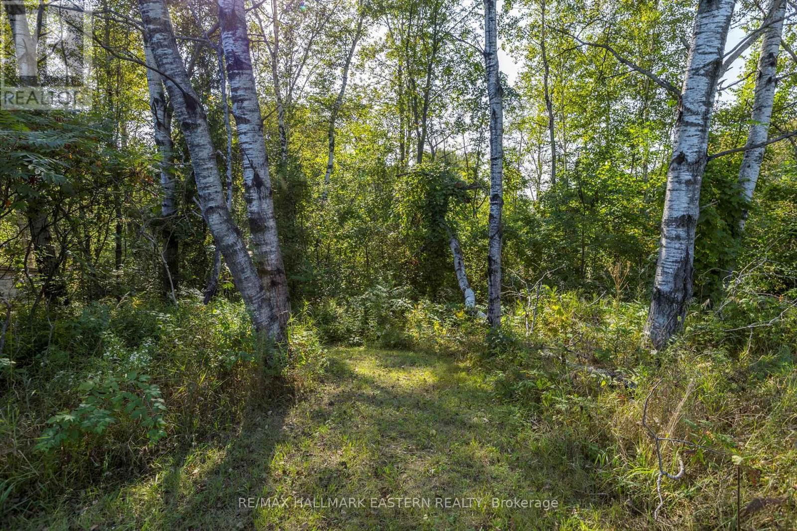 Lot 13 TRENT RIVER ROAD Image 8